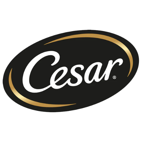 Cesar