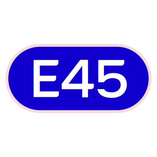 E45