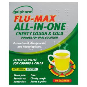 Galpharm Flu Max All In One Powder 10's 